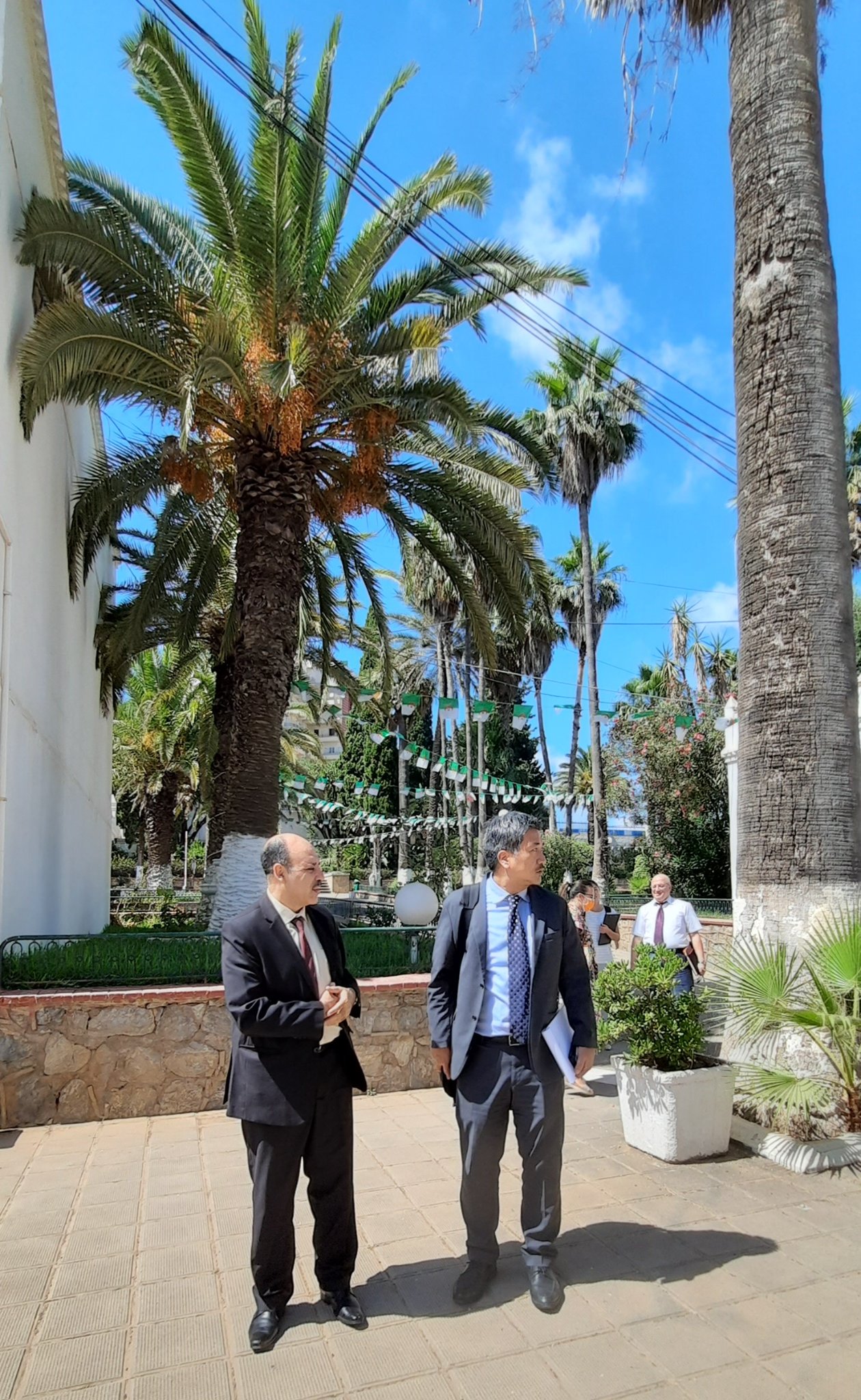 استقبال وفد ممثل عن الوكالة اليابانية للتعاون الدولي JICA